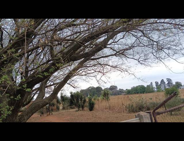 LAND FOR SALE IN SUNDRA AH